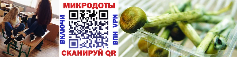 Псилоцибиновые грибы Cubensis  где купить   Чердынь 